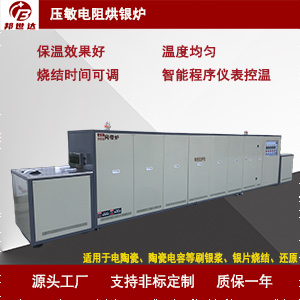 1721025557578364.jpg 主圖300.jpg